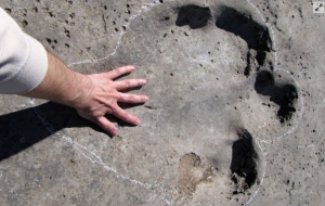 10,000 dinosaur tracks discovered in Bolivia