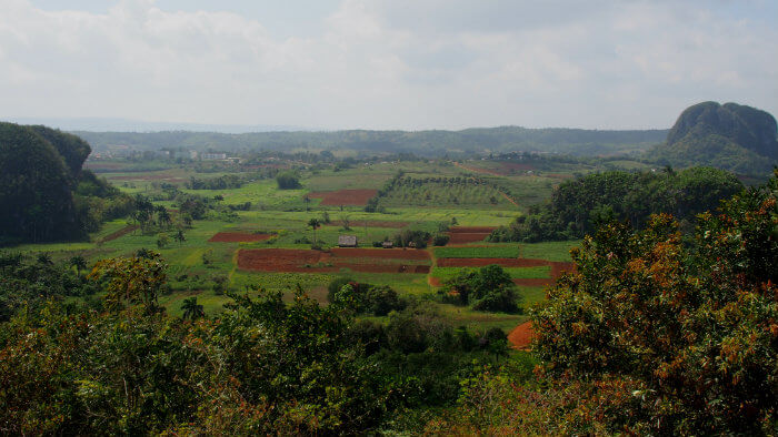 Green and verdant, the land in Viñales is among the best in Cuba.