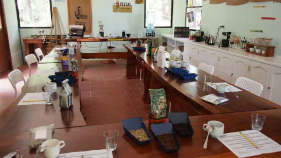 Coffee cupping station in Nicaragua